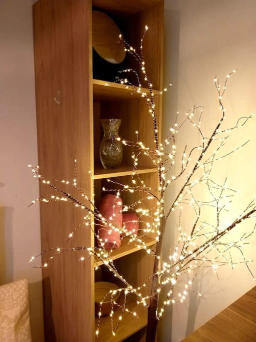 Small Luxurious Room In The Heart Of Saint Germain パリ エクステリア 写真